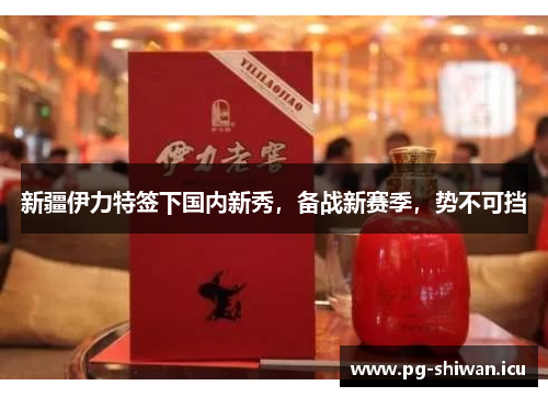 新疆伊力特签下国内新秀，备战新赛季，势不可挡